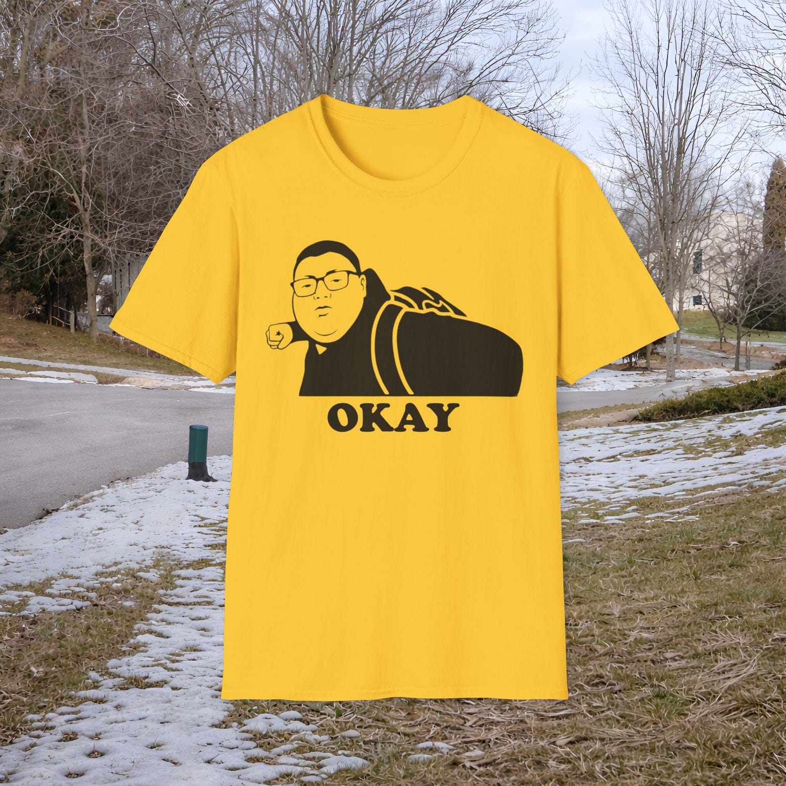 Okay Meme T-Shirt, Funny Graphic Tee, Sarcastic Statement Shirt S