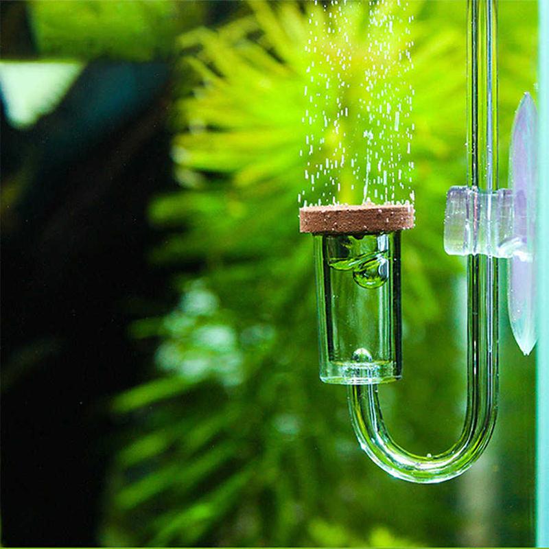 

Acrylic Transparent Co2 Diffuser Suction Cup Fixing Atomizer Bubble Counter