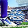 Bulldogs Team Crest Design Soccer Ball Size 5 Soccer Ball, Machine-stitched, Durable, Suitable for Training and Matches Fan Gift