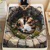 1PC 3D visual effects  Print FlAannel Blanket, High quality Comfortable for All Seasons, Home Decor, Warmth and Comfort