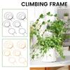 6Pcs Plant Support Stake Stand Round Garden Vine Climbing Rack Metal Balcony Bonsai Flower Fixing Pile Trellis