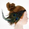 Vintage Peacock Applique Forehead Headband Headpiece Costume Elegant and Stylish 1920s