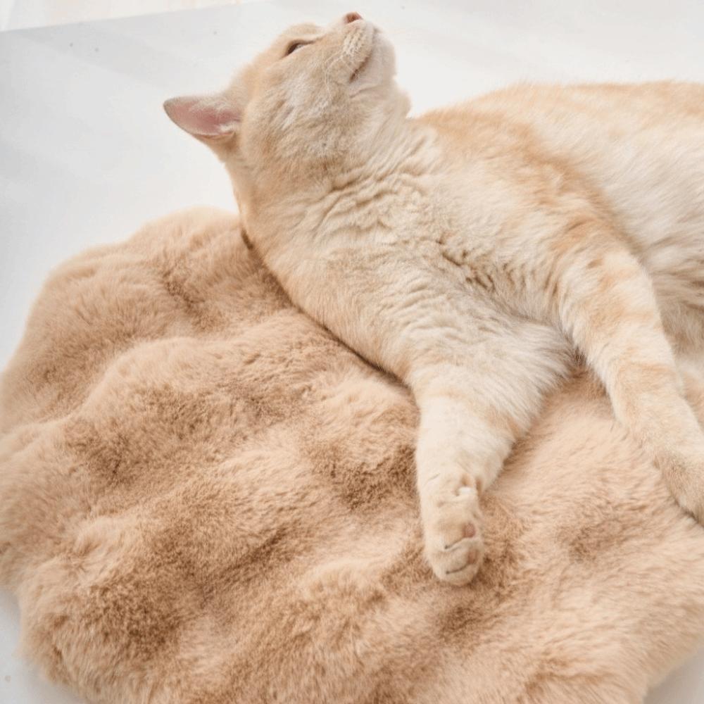 Puppy Nest Mat Warm Cat Nest Non-Slip Fleece Dog Sleeping Pad Soft Round Cat Floor Mat Pet Accessories