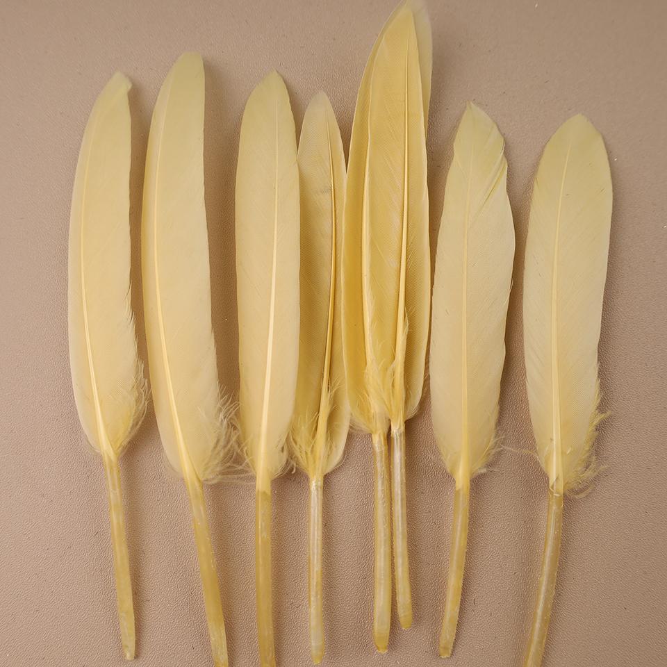 Duck Feathers for Clothes Handicraft Accessories White Golden Black Pink Peacock Goose Feather Plumas Handicraft Article