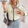 Γυναικεία Μόδα Casual Φθινοπωρινά Χειμερινά Color Block με μακρυμάνικο πουλόβερ με λαιμόκοψη σε V