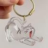 Cute Cat & Dog Fur Keychain Pendant - Creative Transparent Souvenir Gift