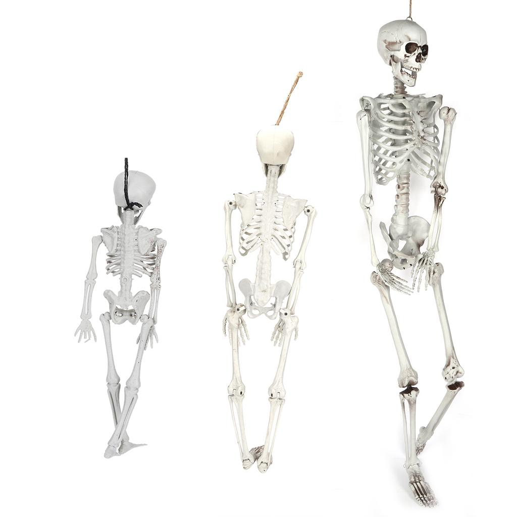 Halloween Resin Full Body Skeletons with Movable Joints for Home Costume Party Decoration Props