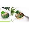 High Transparency Acrylic Fish Tank Top Filter Aquarium Water Purifier  Round Fish Tank