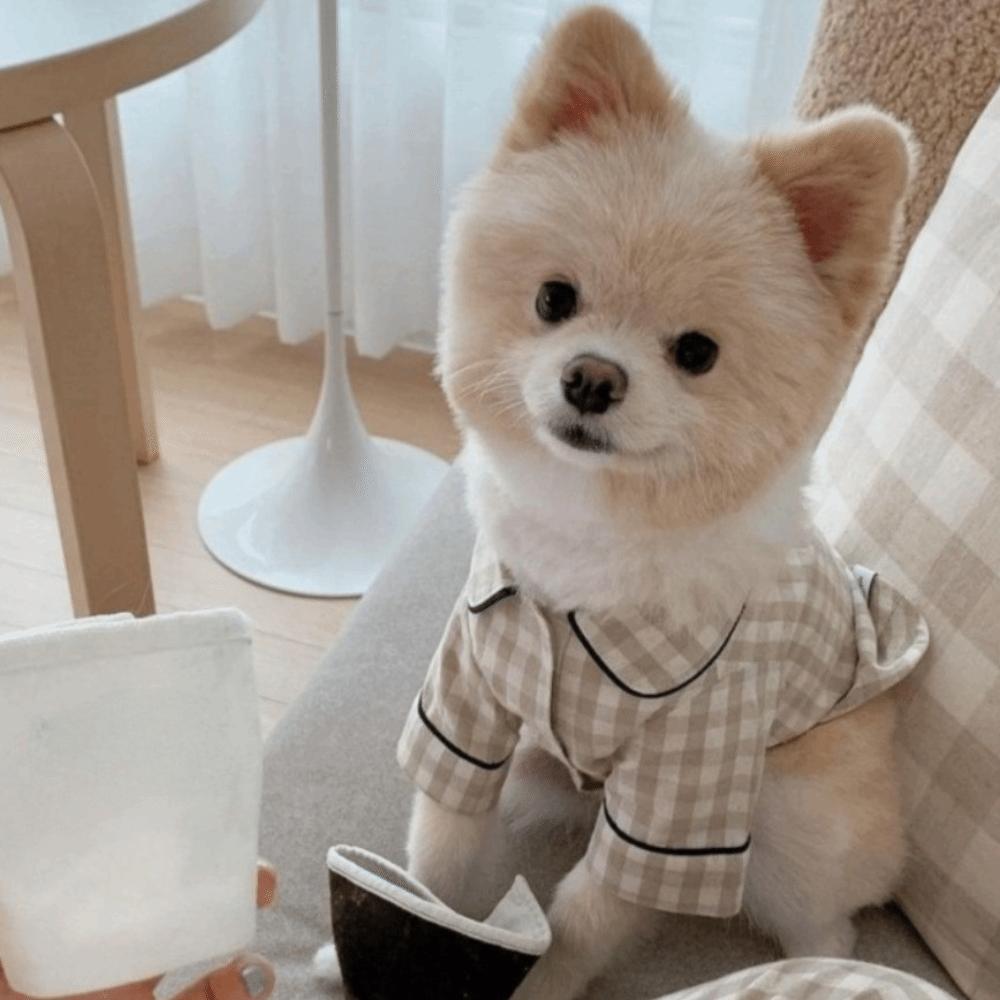 Pet Decoration Comfortable Ins Plaid Shirts Pet Clothing Elegant Cute Dogs Pajamas Fashion Costume Cat Dog Clothes Proposal