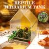 Acryl-Reptilien-Terrarium mit Magnetverschluss, Behälter mit Schiebetür zur Präsentation von Eidechsen oder Spinnen