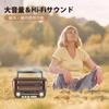 Gelielim Portable Card High Volume MP3 Indoor and Outdoor Retro Japanese Instruction Manual Radio, FM/AM/SW/Shortwave Radio, Compact, USB/SD