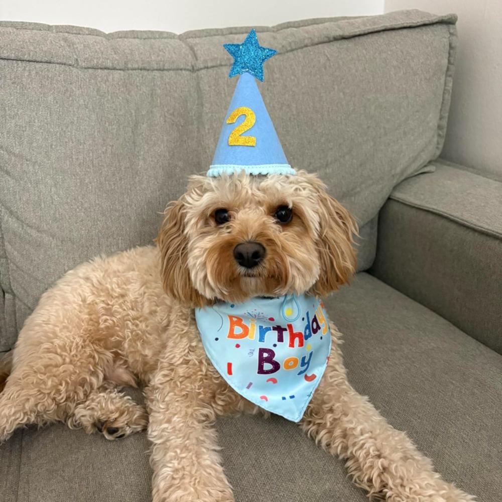 Adjustable Pet Birthday Caps Cute Dog Birthday Bib Cat Triangle Scarf  Puppy Costume