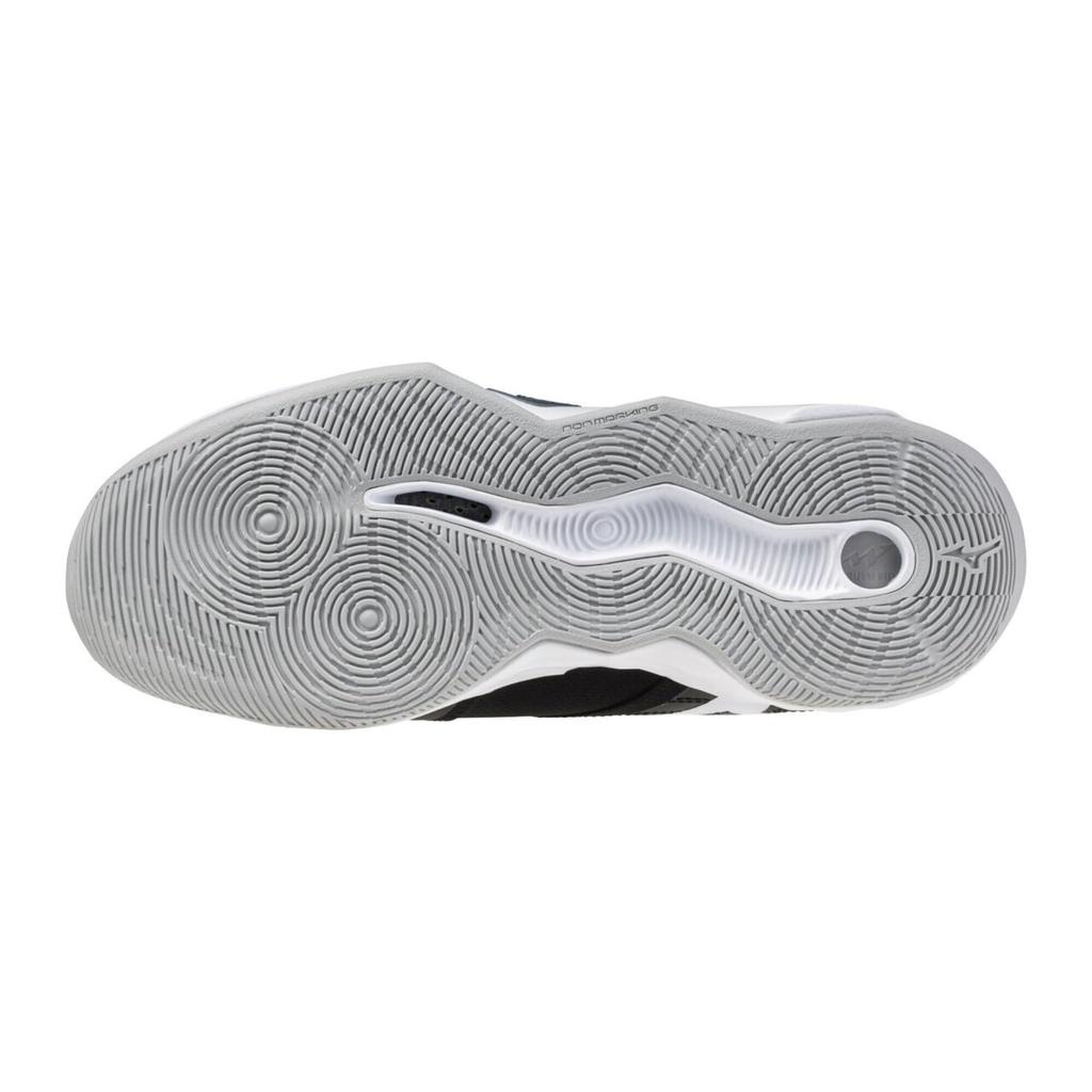Volleyball Shoes Wave Momentum Pro WAVE MOMENTUM PRO Black x White cm 2E [Mizuno] 24.5