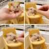 Bear Shape Mini Pet Dining Seat Mini Mini Pet Chair New Small Pet Seat  Small Rat Cage