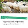 10Pcs Goat Collar Sheep Identification Bands Livestock  ing   Farming Equipment