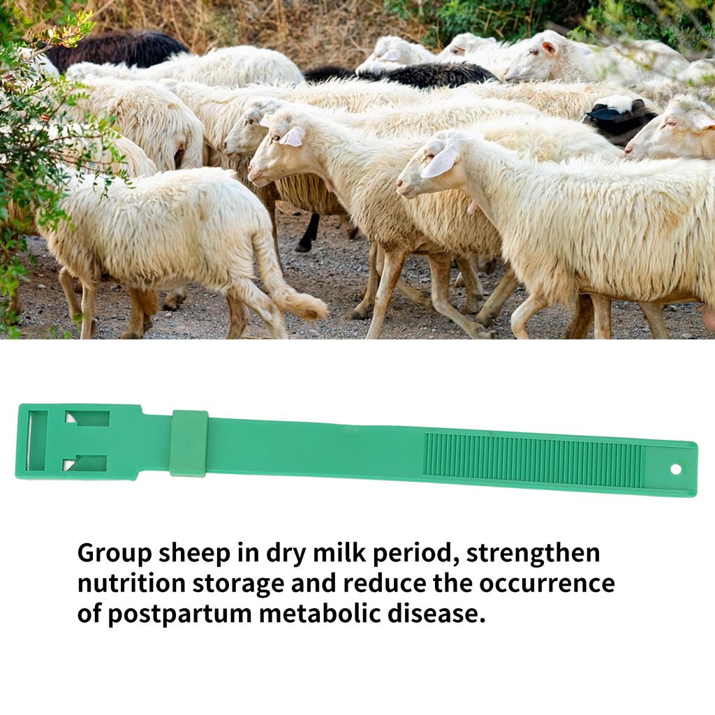 10Pcs Goat Collar Sheep Identification Bands Livestock ing Farming Equipment