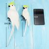 25/35Cm Simulation Parrot Garden Decoration Creative Lawn Figurine Ornament Animal Bird Outdoor Garden Party Prop Decoration
