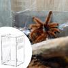 Jumping Enclosure Ventilation Cage Acrylic Terrarium Habitat Accessories for Snake