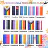 2 Pack Progress Gay Pride Flags Banner Bunting Rainbow LGBTQ Intersex Garland String Decorations 40Feet 30Flags 5x8 Inch