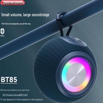Newmine BT85 Portable Bluetooth Speaker CN Plug (adapter Included)