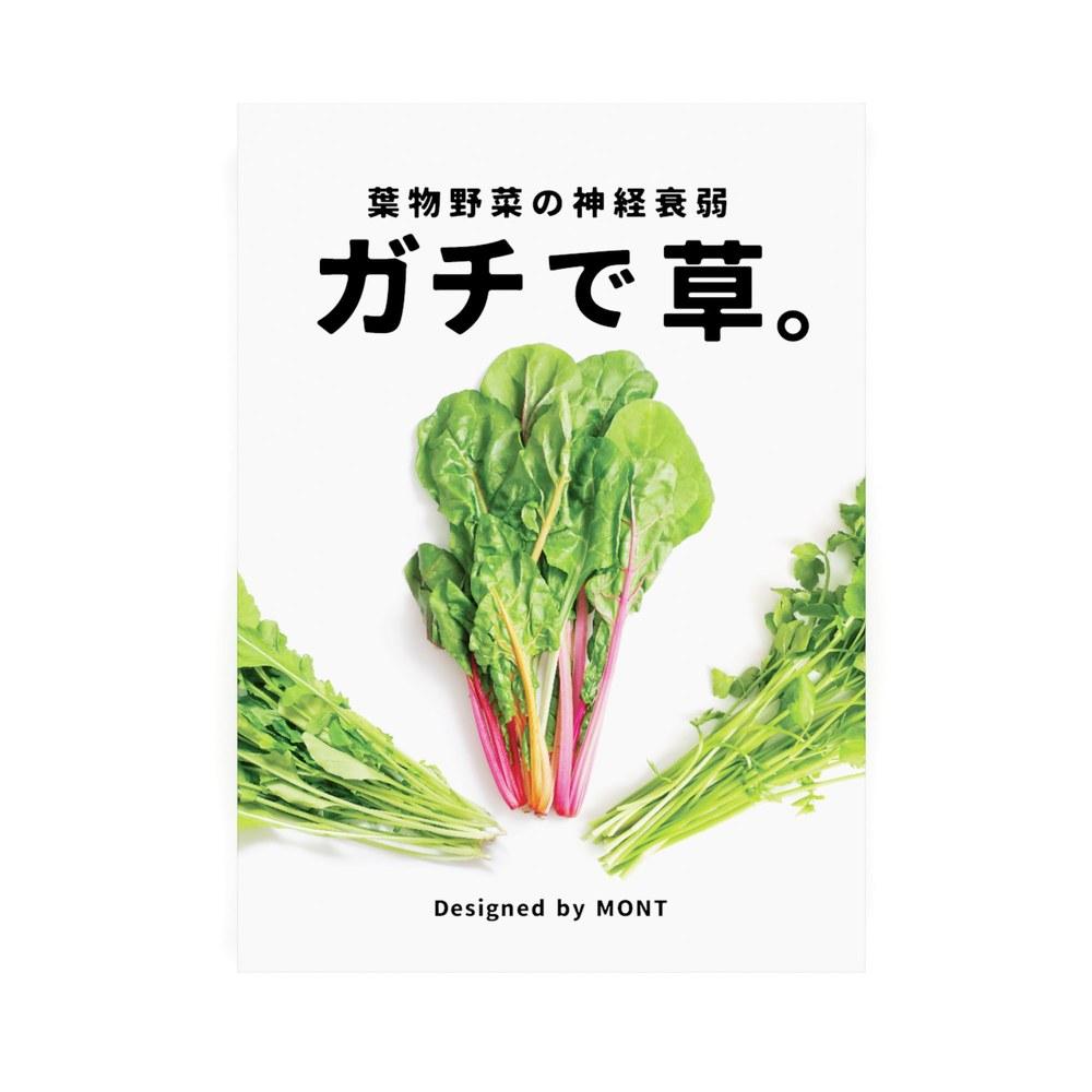 MONT Seriously Funny Leafy Vegetable Concentration Card Game Food Education Brain Training