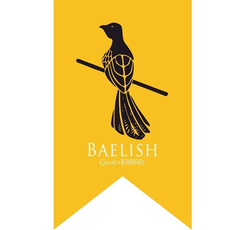 Stendardo Bandiera Game Of Thrones in Tessuto Poliestere per Decorazione Stanza a Tema