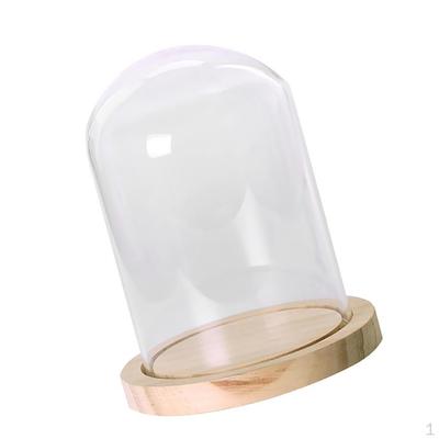 Campana de Cristal con Base de Corcho de Madera Decoración para Estudio en Casa