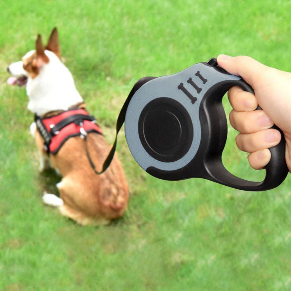 Duty Automatic Retractable Puppy Running Lead Dog Walking Leash Dog Leash Rope Dog Traction Rope