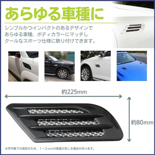 Calm Wish Dummy Duct Bonnet Front Body Fender Aero Air Intake Custom Dress Up Carbon Style 2 Pieces Universal