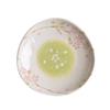Cherry Blossom Ceramic Bowl & Plate Set: Includes Rice Bowl, Soup Bowl, Large Plate, Dish Plate, and Large Noodle Bowl - Japanese Imported.