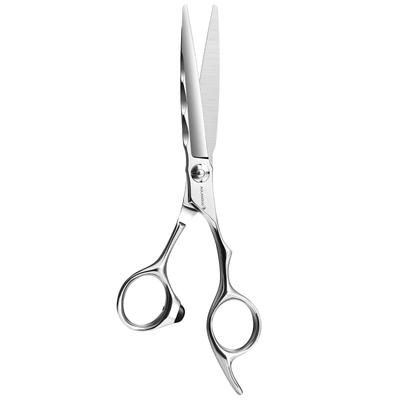 AOLANDUO Professional Hair Cutting Scissors Are 6 Have Very Sharp 440C Steel Hair Cutting Scissors Are Have Smooth Movements and Fine Elegant Cleaning