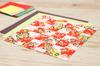 Castle Enterprise Adult Origami School Shikishi Set Yuzen Washi Girls X 2 Sets with Folding Diagram (with Paper)