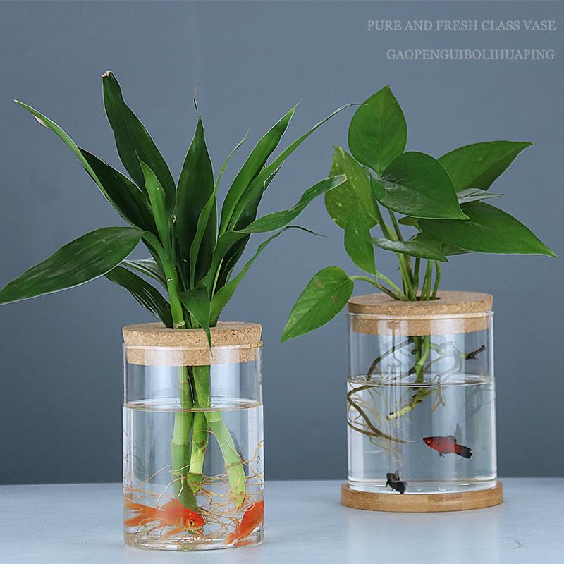 Mini Glass Flower Pot for Indoor Plants - Hydroponic Ornament with Moss Landscape