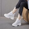 Breathable Thick-soled Inner Height Increase 1 Spring New Dad Shoes Sports and Leisure Single Shoes