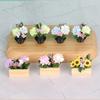 1/12 Miniature Potted Flower Model Figurine For Doll House Scene Display Accessories Microlandscape Setting Props