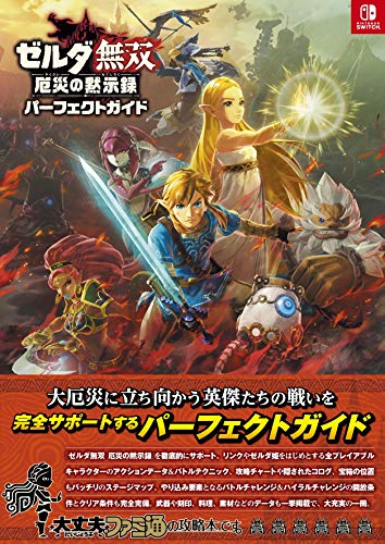 Zelda Musou: Age of Calamity Идеальный гайд (Отредактировано Famitsu)