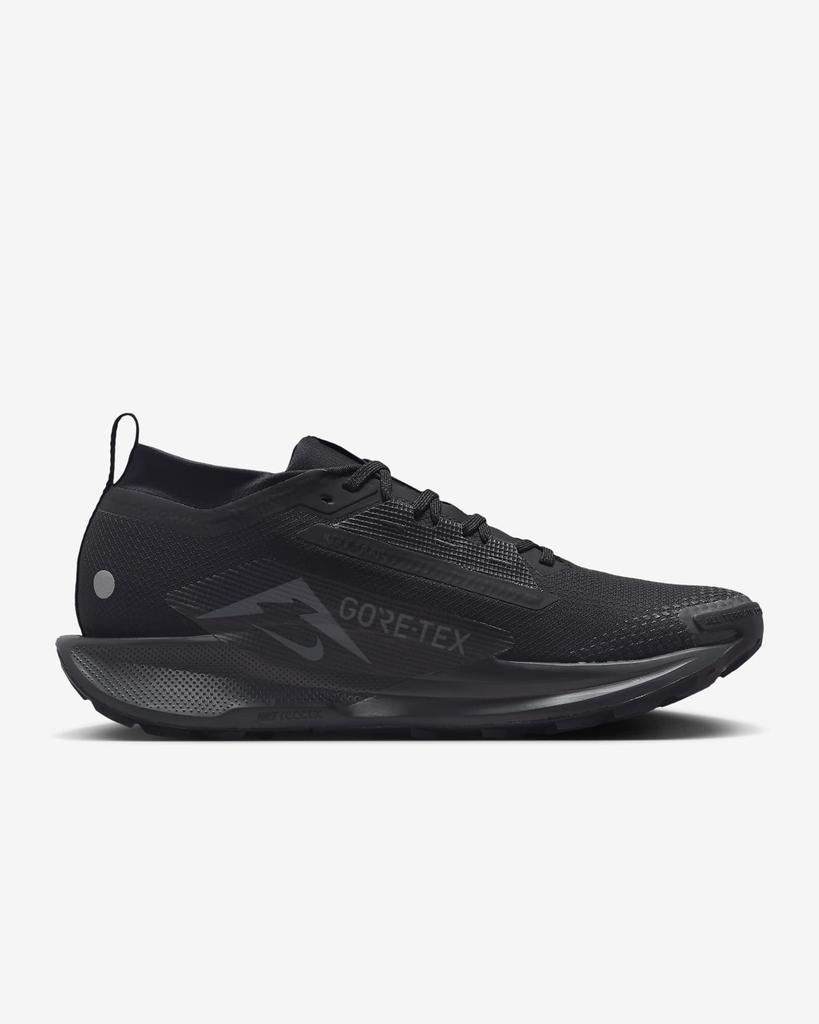 FQ0908-002 Nike Pegasus Trail 5 GORE-TEX Black Anthracite (Men's)