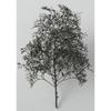 Woodland Scenics x KATO Natural Material Tree Black Dyed 24-368 Model Train Supplies
