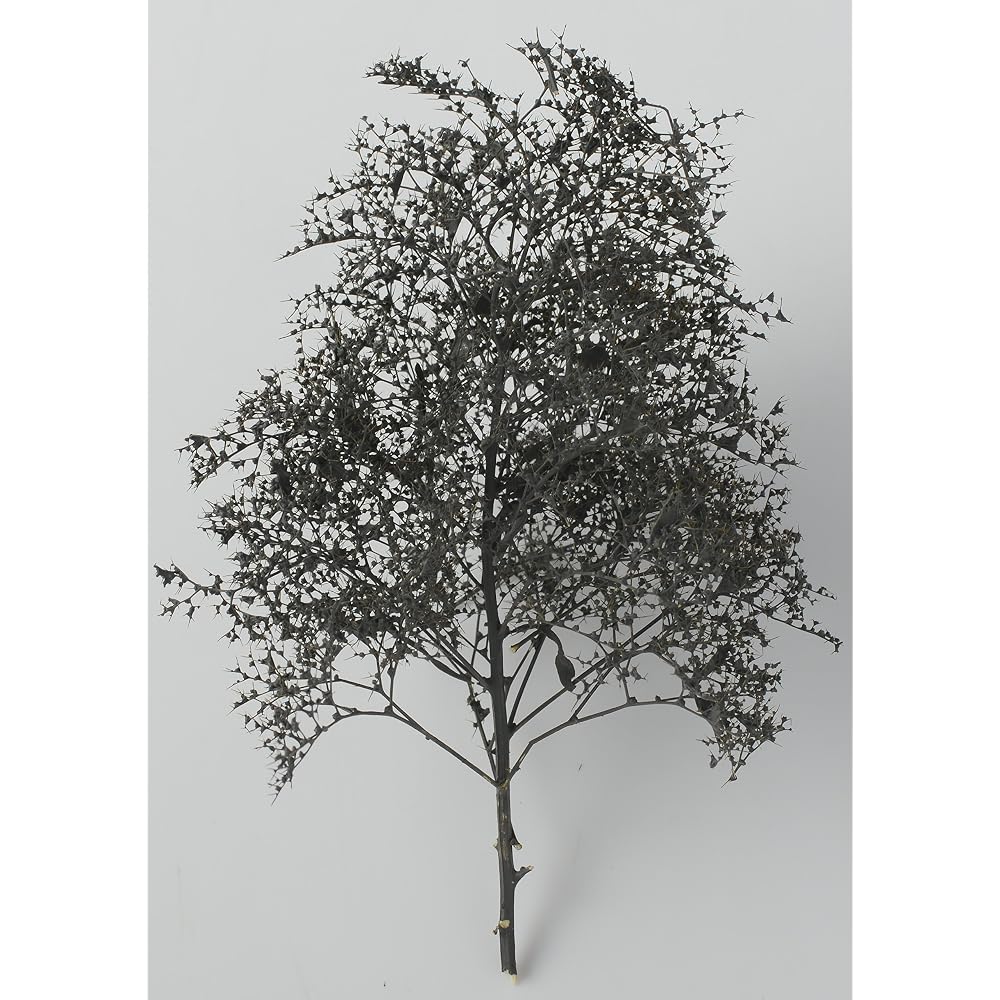 Woodland Scenics x KATO Natural Material Tree Black Dyed 24-368 Model Train Supplies
