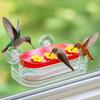 Refillable Hummingbird Feeder Suction Cups Hummingbird Water Dispenser Bird Water Station  Garden