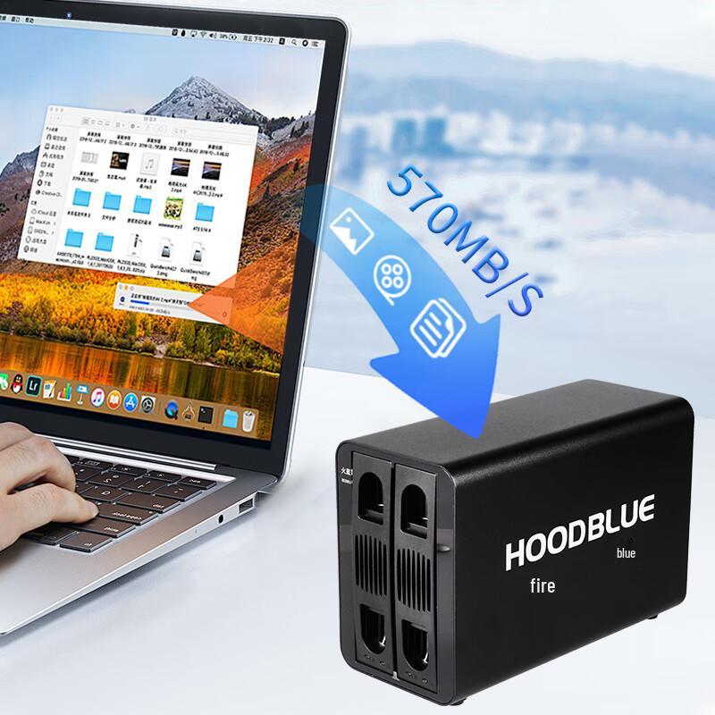 Hoodblue DS2031 Dual-Bay USB 3.1 RAID Enclosure
