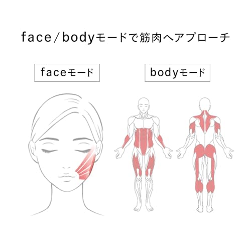 [Official Store Exclusive] ReFa CARAT LIFT with shopping bag