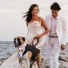 Pet Tuxedo Outfit with Matching Collar Ready Stock Dog Formal Wear Party Costume Premium Pet Clothes