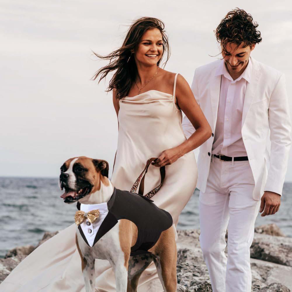 Pet Tuxedo Outfit with Matching Collar Ready Stock Dog Formal Wear Party Costume Premium Pet Clothes