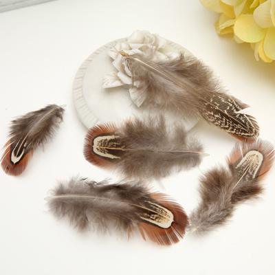 50 Stück DIY Schmuckzubehör Feder DIY Feder Kopfschmuck Korsage Hut Schuhe Handwerkliche Materialien Dekorative Materialien