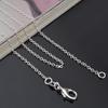 40cm,45cm,50cm,55cm,60cm Thin Chain Fashionable R Jewelry Pendant with Chain Thin Chain Necklace