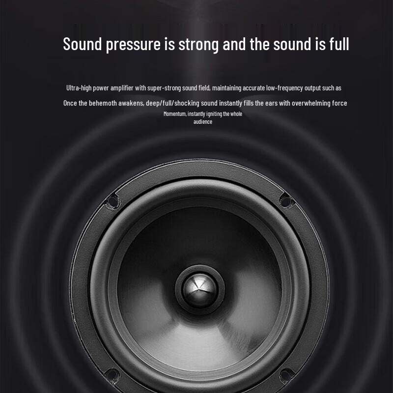 HUIDU Professional Audio Speaker Series (CN Version)