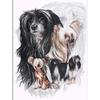 5D DIY Diamond Painting Kit  Dogs  Art Diamond Embroidery Rhinestones Decorations for Home