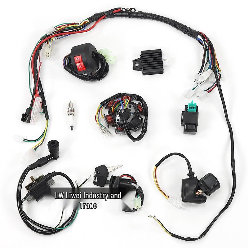 Off-Road Motorcycle Wiring Harness & Magnetic Coil Switch for 50-125CC ATV/Quad