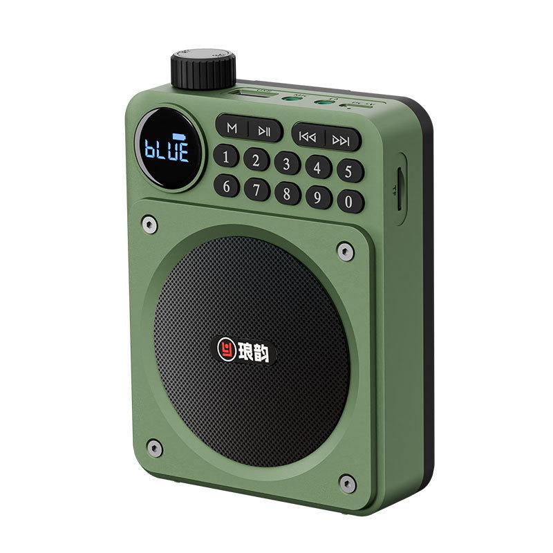 Mini Digital FM Radio HD Display 76-108mhz Radios Wireless Bluetooth 5.3 Speaker Portable Voice Amplifier with TF Card USB Slot
